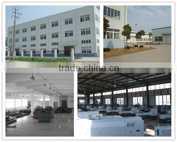 SUS304 stainless steel pig bone cutter machine for sale