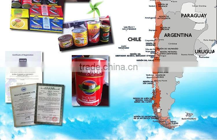 CANNED TUNA IN BRINE CHILE BOLIVIA LATIN AMERICA ISO member high quality premium 425g/210g/155g Sardine in oil in tomato suace