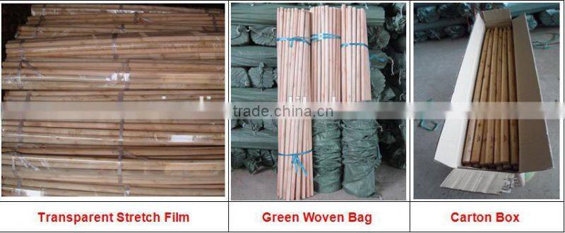 colorful lacquer painted wooden broom handle