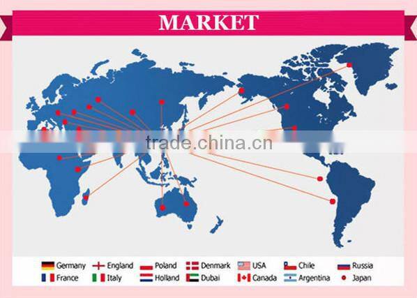 wholesale summer outdoor international super spendex cycling jersey