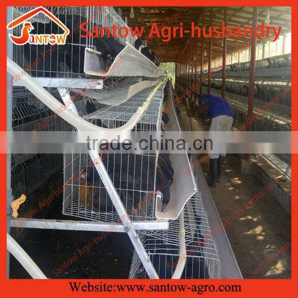 hot sale cages for broiler chicken quail