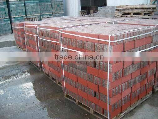 Sintered Water Absorbing Brick
