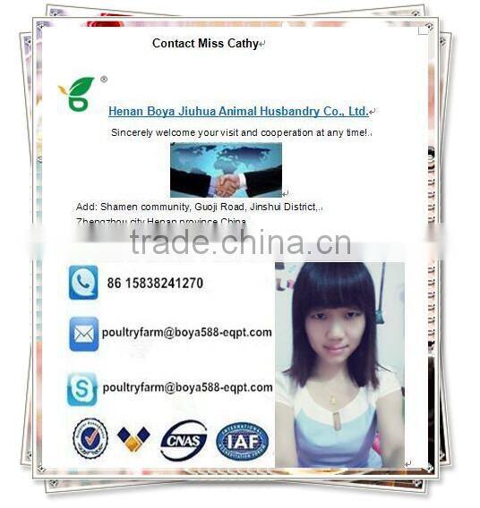 high efficiency automatic egg collection system