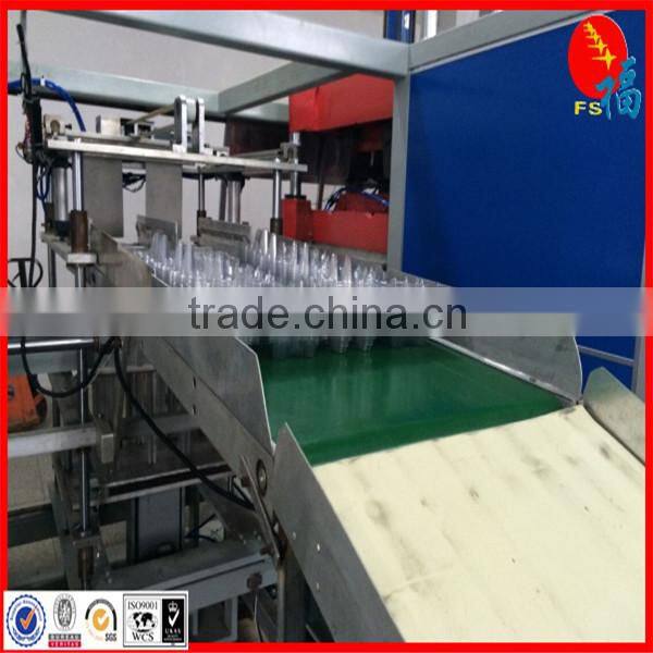 clear egg packing tray