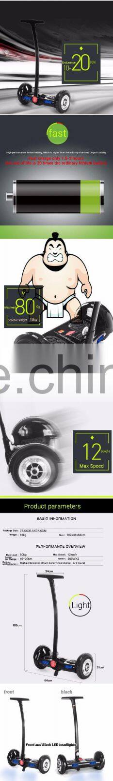 2 Wheel Standing Self Balance Electric Scooter/48v 20ah Battery Power Electric Scooter/750w Electric Scooter