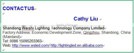 HIGH LUMEN COB LEDS