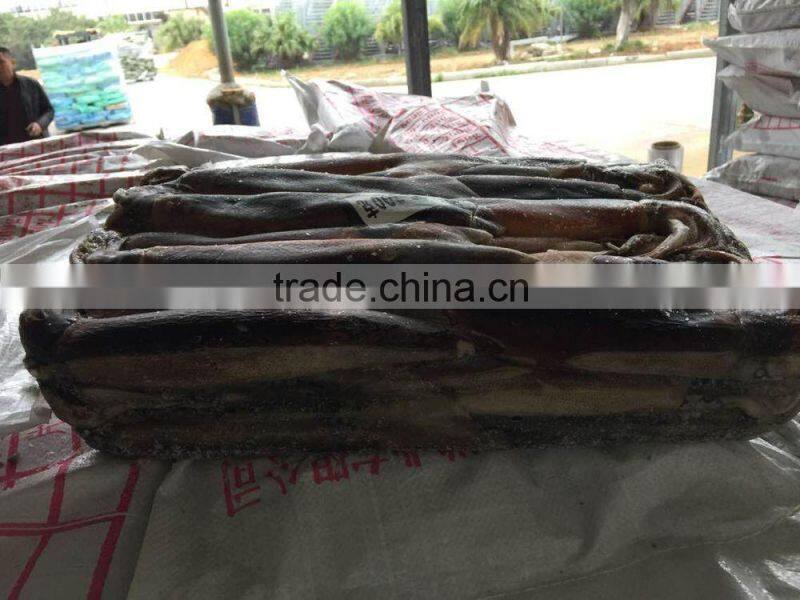 2016 high quality frozen illex squid 200-300g for sale
