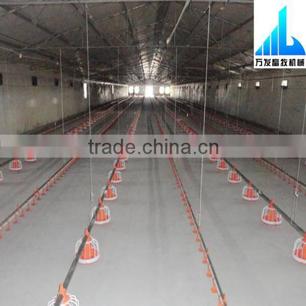 chicken poultry shed design