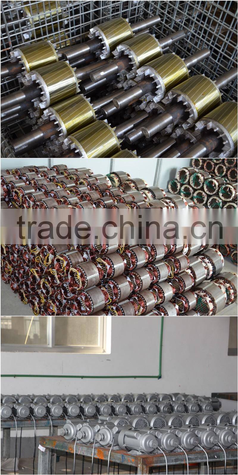 Factory Price Juice Extractor FL-G230 Standard Manual Sugarcane Juicer Machine