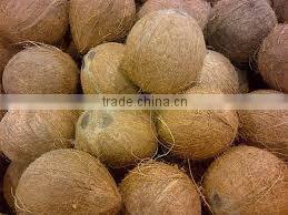 light brown Indian coconut