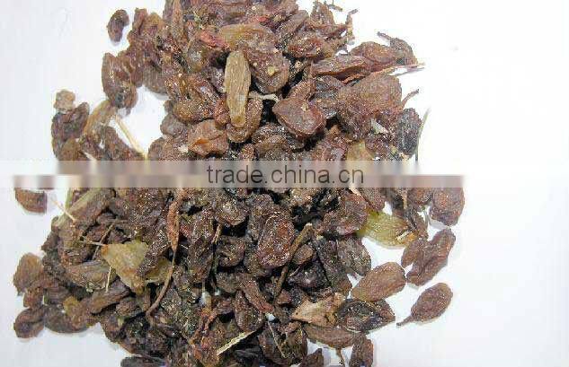 INDUSTRIAL RAISIN OF NEW CROP FOR SELL