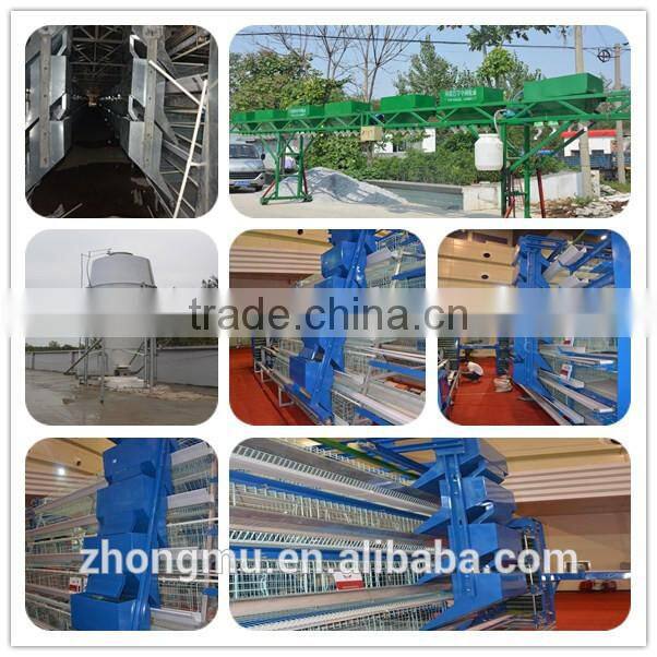 Zhongzhou automatic poultry battery chicken cage for Africa