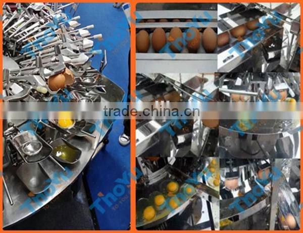 Big capacity Stainless steel Egg Processing Machines made in China