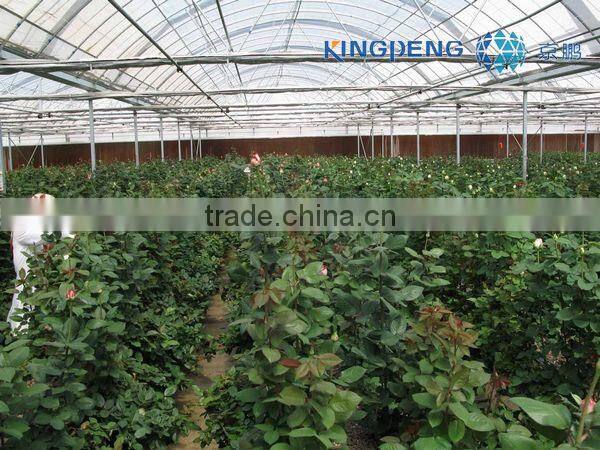Plastic Film Greenhouse ISO9001:2000