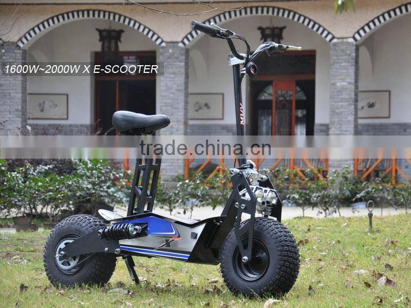 1600W ~ 2000W Hot Selling 2 Wheels Electric Scooter