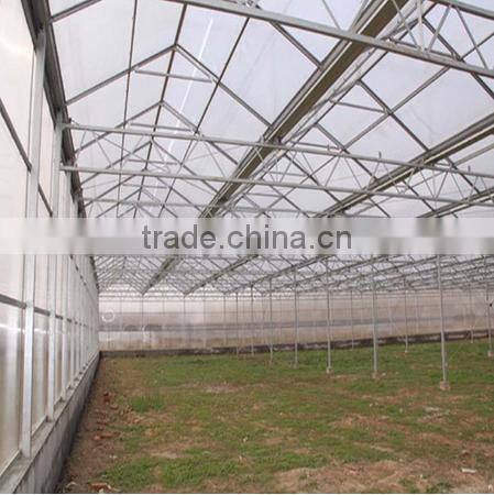 Arch roof type tunnel greenhouse polycarbonate greenhouse octagonal greenhouse