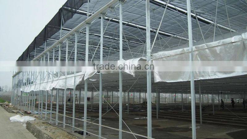 Long Life Span Polycarbonate Sheet Greenhouse Roofing for Sale