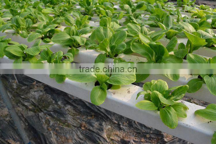 PVC Hydroponics square tube Industrial Hydroponic System