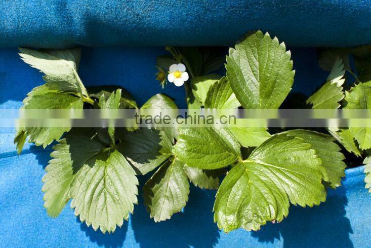 High Quality Vertical Garden,5 Woolly Pocket Planters,Outdoor Wall Planters