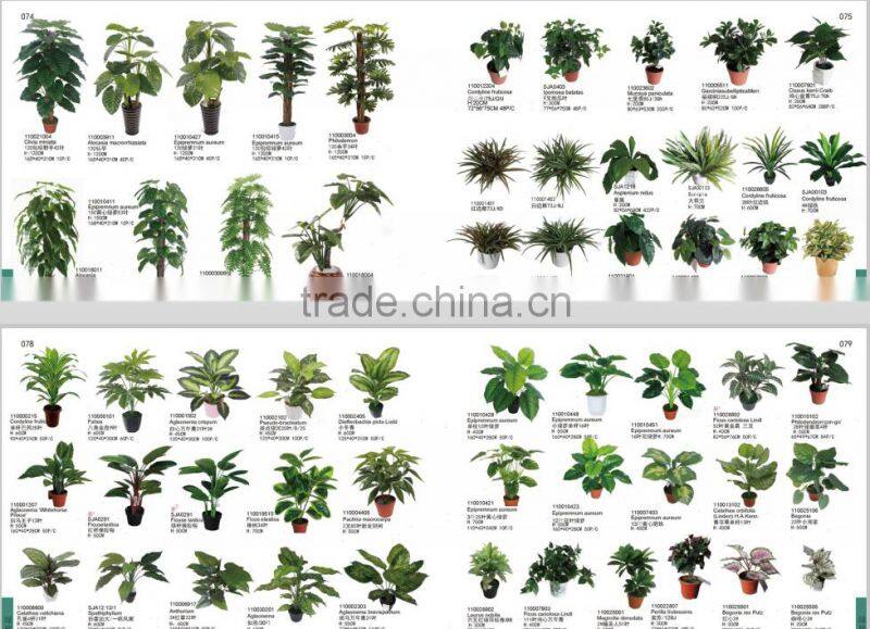 SJ3001107Ornamental Artificial Green Cactus Plants