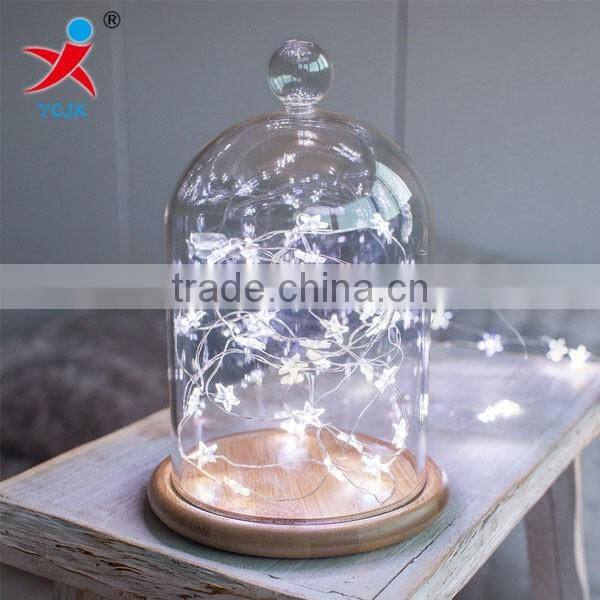 wholesales modern glass domes bamboo base with led string lights for home decoration