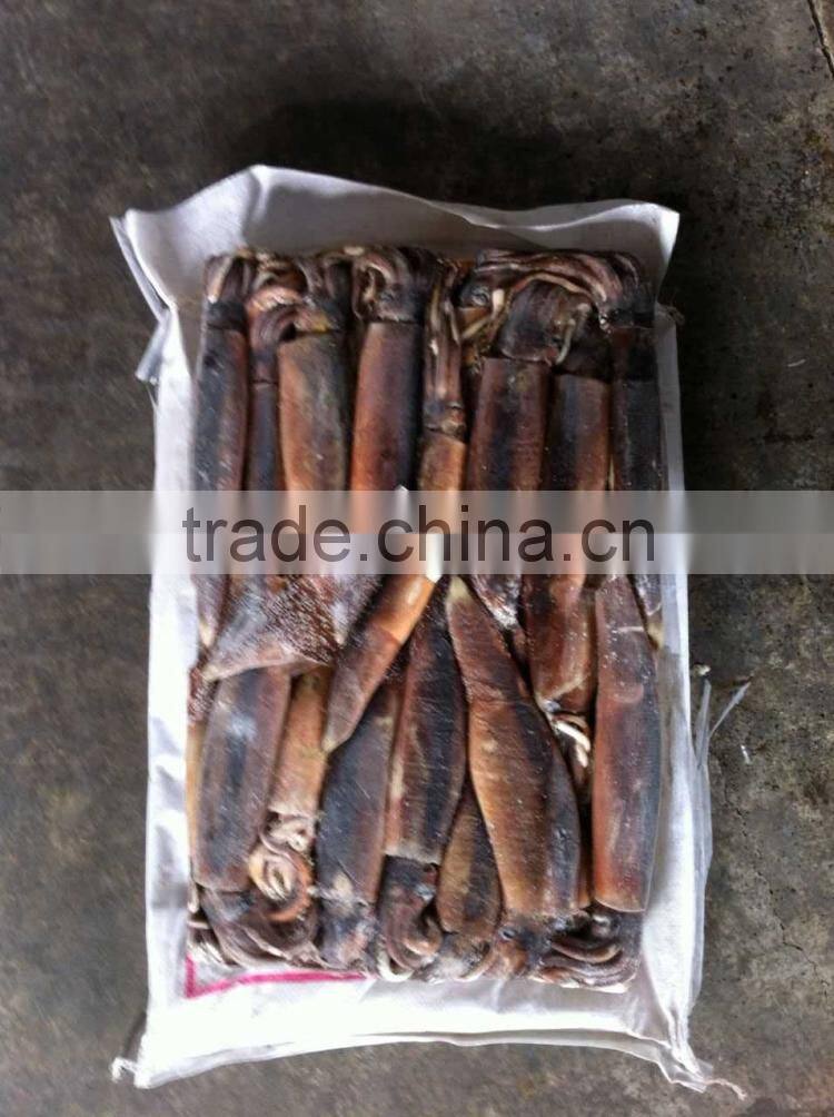 Frozen argentina squid illex squid jigger squid whole round