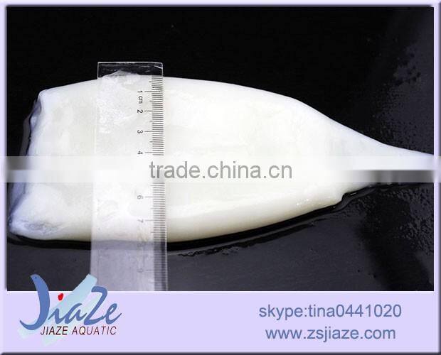frozen squid tube/giant squid/illex squid/loligo squid