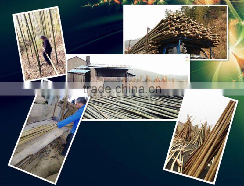 Thick walled cheap tonkin bamboo poles wholesale for plants