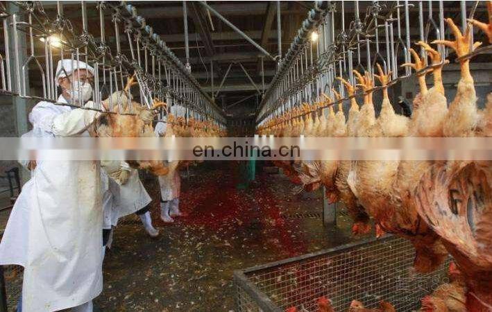 Muslim chicken slaughter machine for sale/ conveying line/ bloodletting