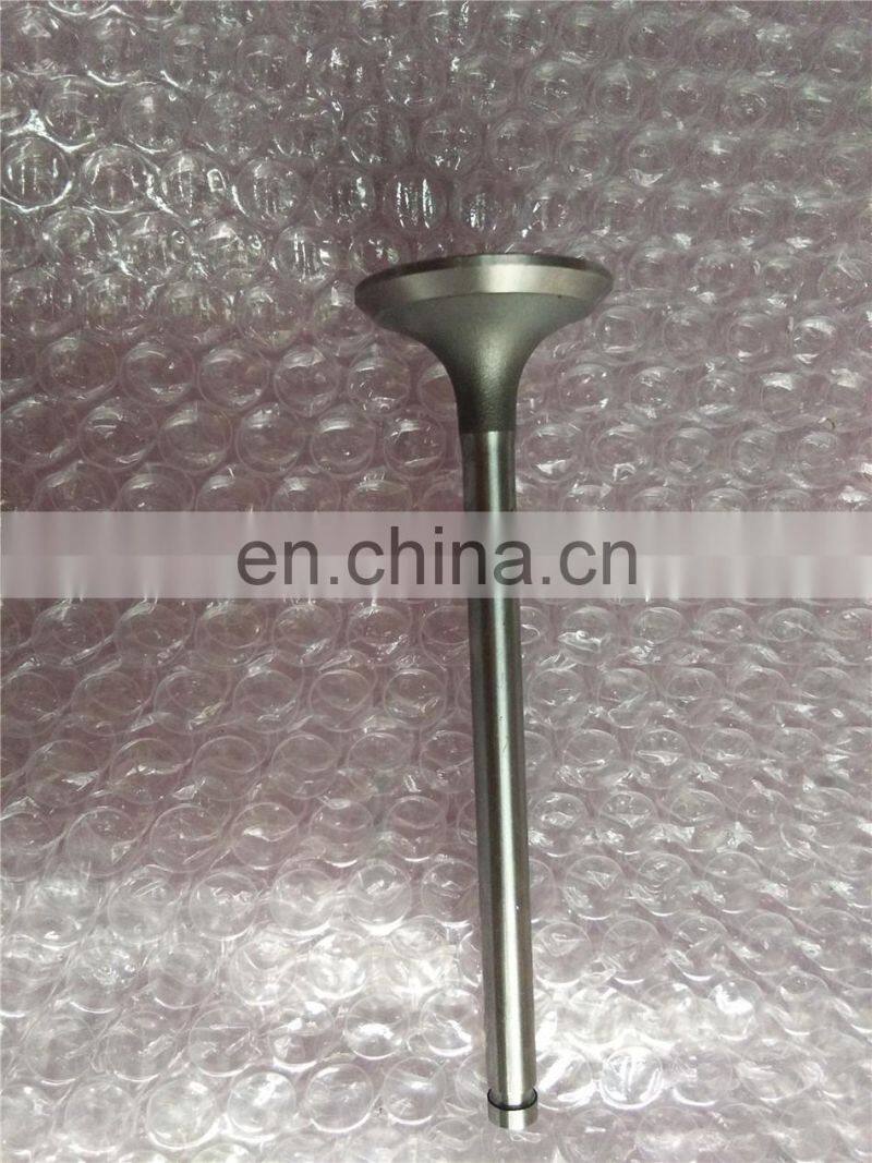 B3.3 Engine Parts Intake Valve 6207414110 6207414130