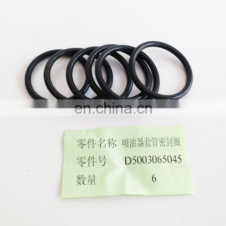 Truck Auto Diesel Engine Spare Parts D5003065045 Seal Ring