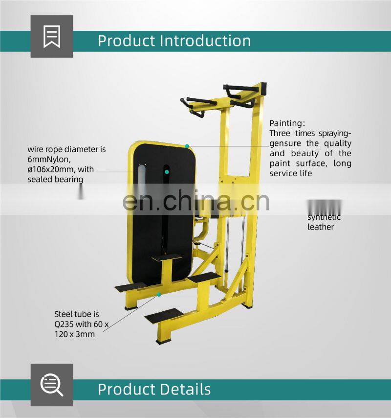 professional home equipment fitness sports exercise DIP/CHIN ASSIST machine