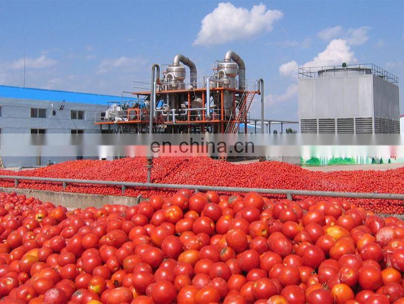 Automatic ketchup sterilizer pasteurization machine tomato sauce pasteurizer good price for sale