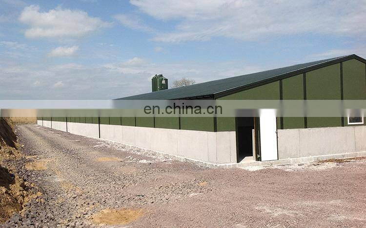 used steel frame chicken shed poultry farming house design