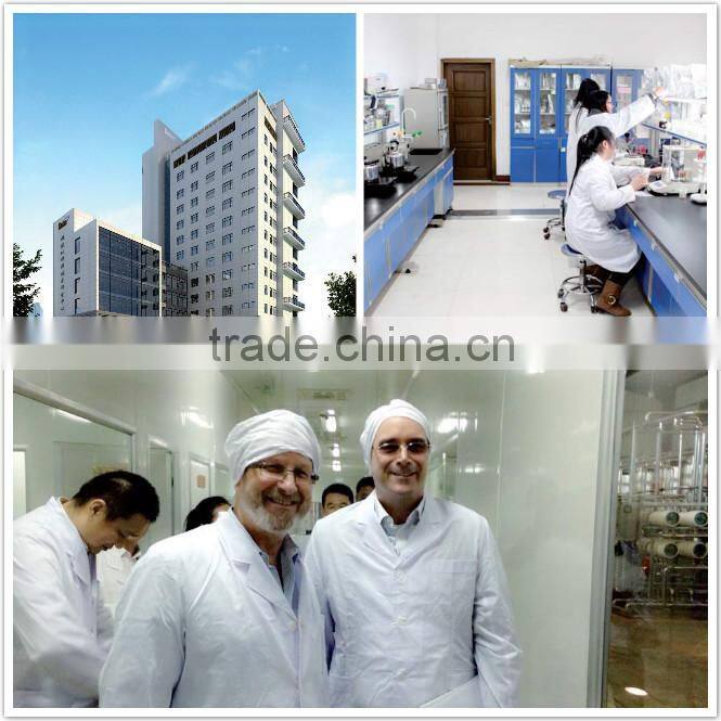 High Quality Matcha Green Tea Powder