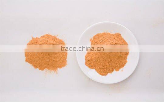 spray drying carrot powder
