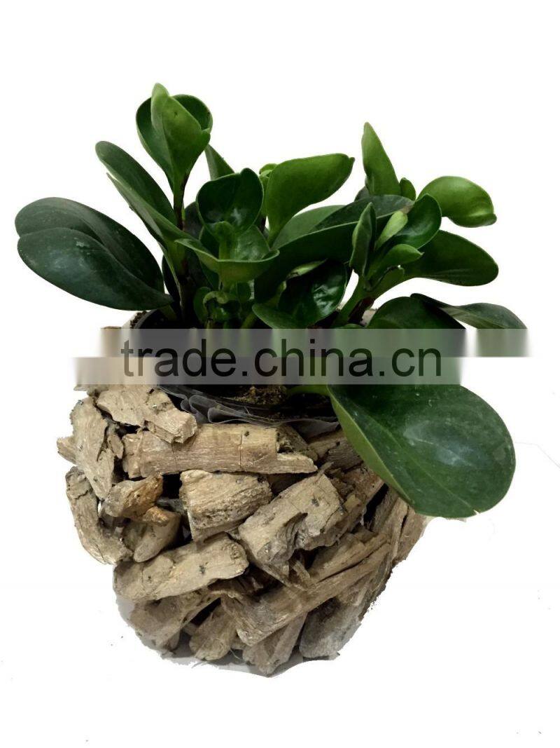 gardening pots, garden flower pots, garden flower pots