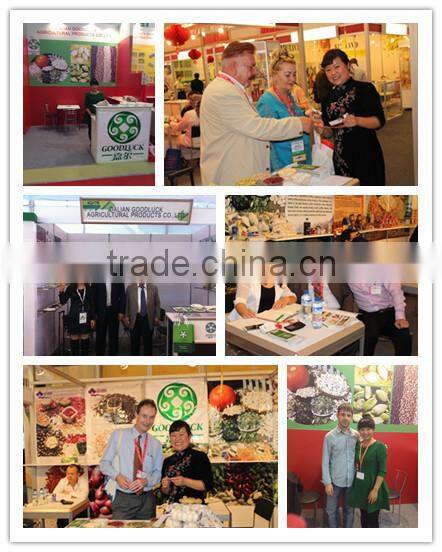 Snow White Pumpkin Seeds