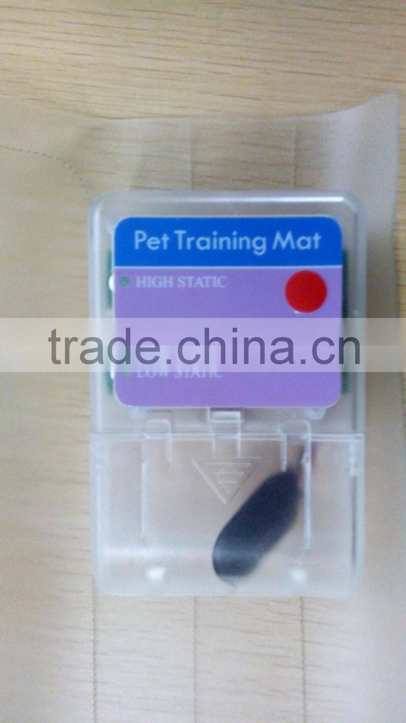 Puppy Indoor Training Mat