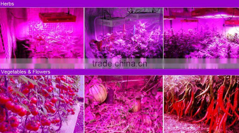 64*3W Greenhouse LED Grow Light 450w led grow light