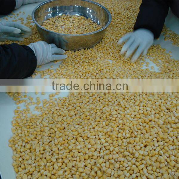 Iqf Frozen Bulk Sweet Corn Kernels