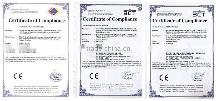 Super electric bike batterie 48v with charger