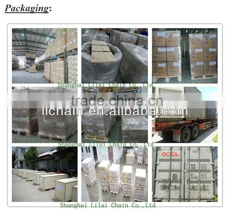 3873-K1200-G seamless snap-on side-flexing chain with rollers