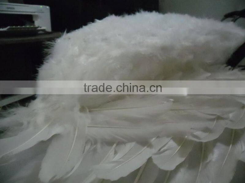 beautiful customized colorful fairy wings made of feathers for party