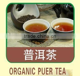 Organic puer tea