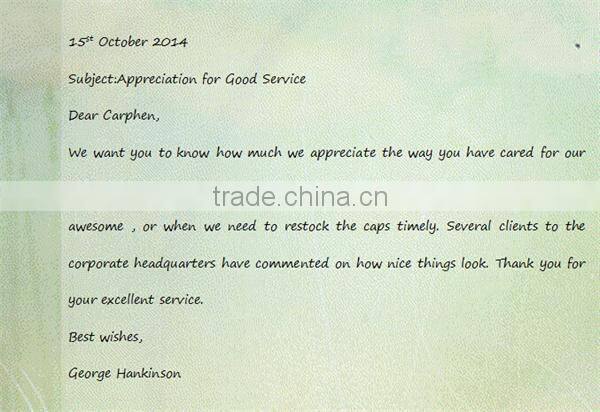 2015 Good quality custom blank snapback cap with leather brim