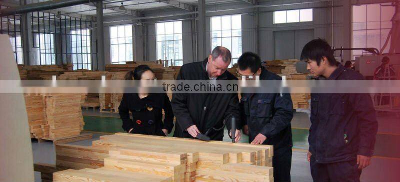 Moser high rise building wooden curtain system window with double glazed energy saving