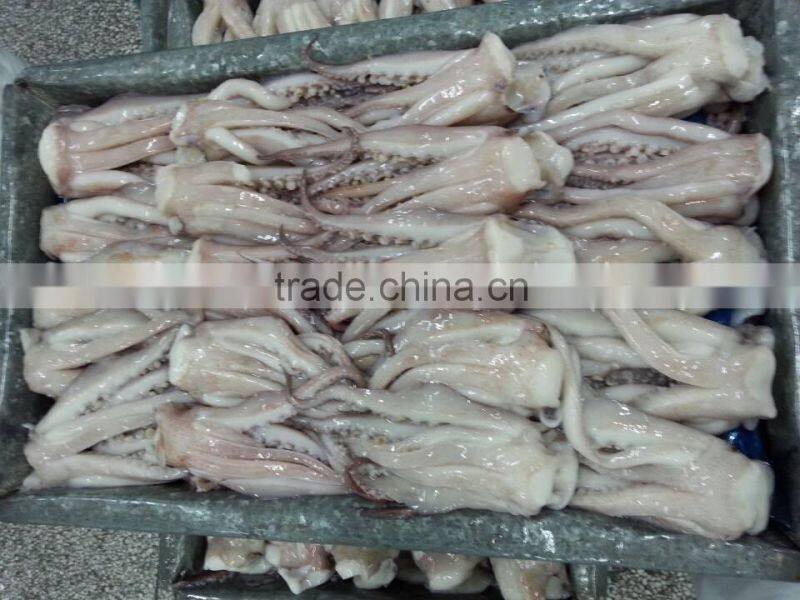 Frozen Squid Tentacle