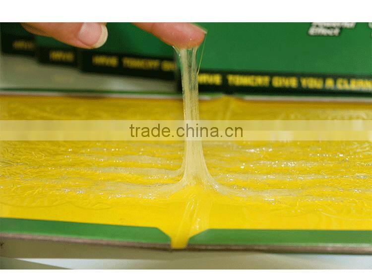 Rat Glue Trap Station HD03647