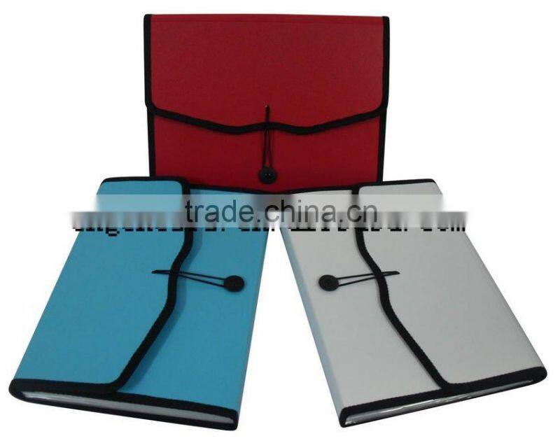 2010 New-Expanding File bag